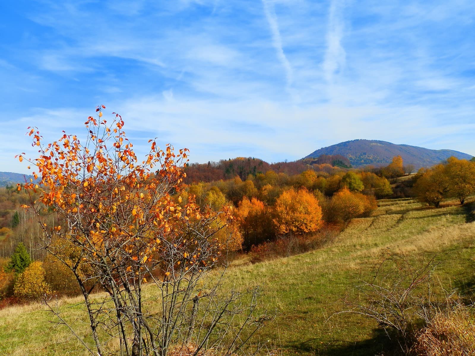 Terchová a okolitá dolina